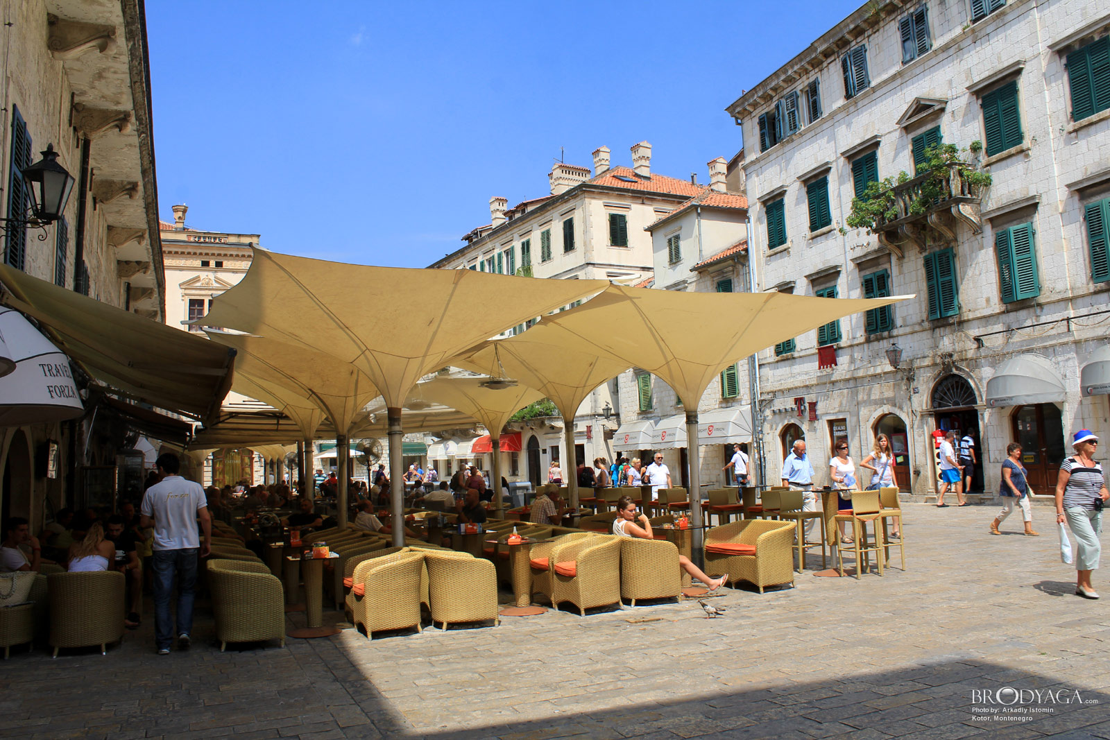 Kotor